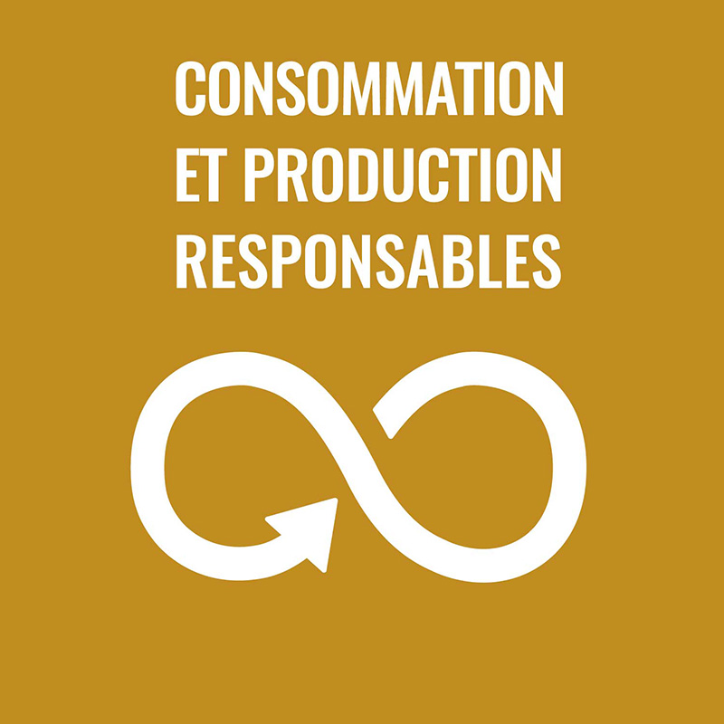 consommation et production responsable